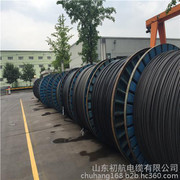 架空電纜與高壓架空線 市場行情、優(yōu)質(zhì)廠家與產(chǎn)品圖鑒